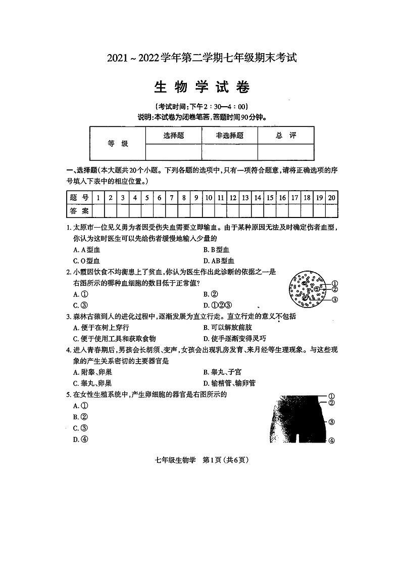 山西省太原市2021-2022学年七年级下学期期末考试生物试题（含答案）第1页