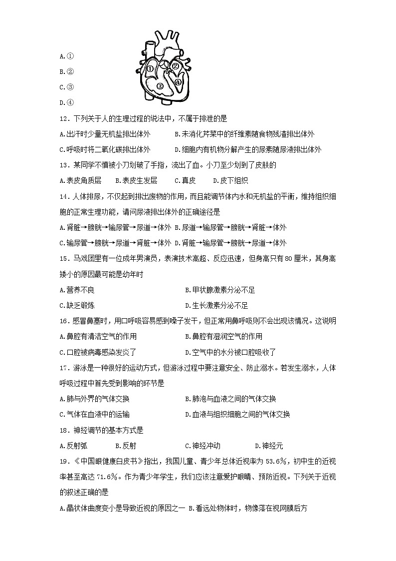 四川省成都市新都区2021-2022学年七年级下学期期末考试生物试题03