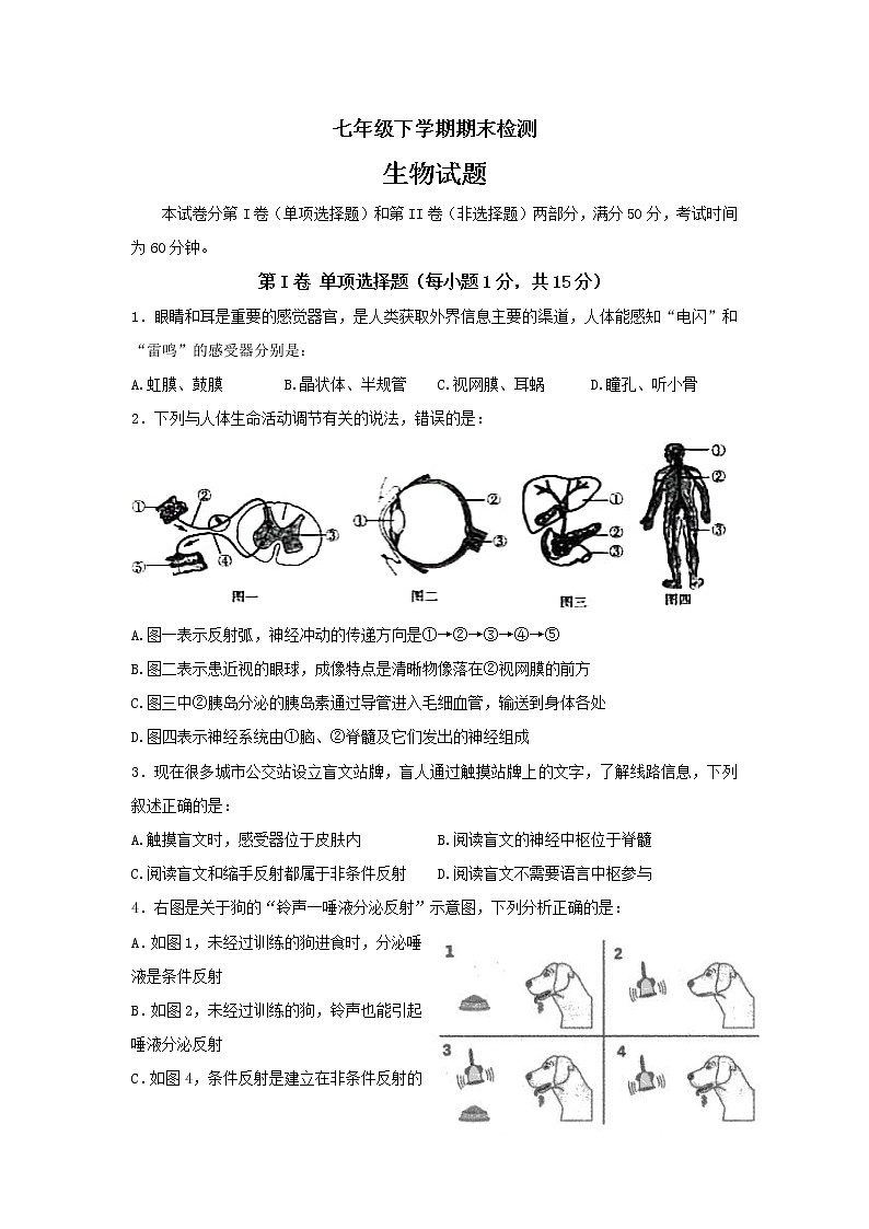 山东省泰安市新泰市（五四制）2021-2022学年七年级下学期期末考试生物试题第1页