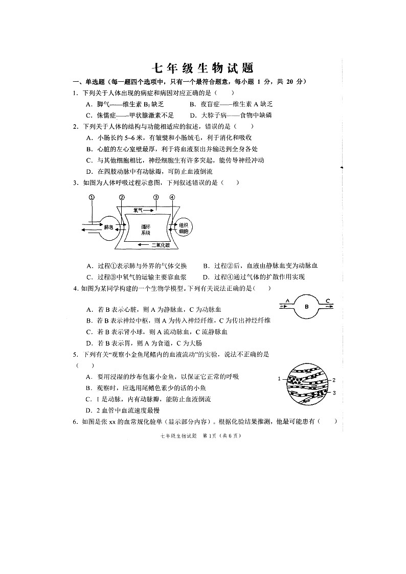 山东省菏市泽经济开发区（牡丹区）六校联考2021-2022学年七年级下学期期末生物试题第1页
