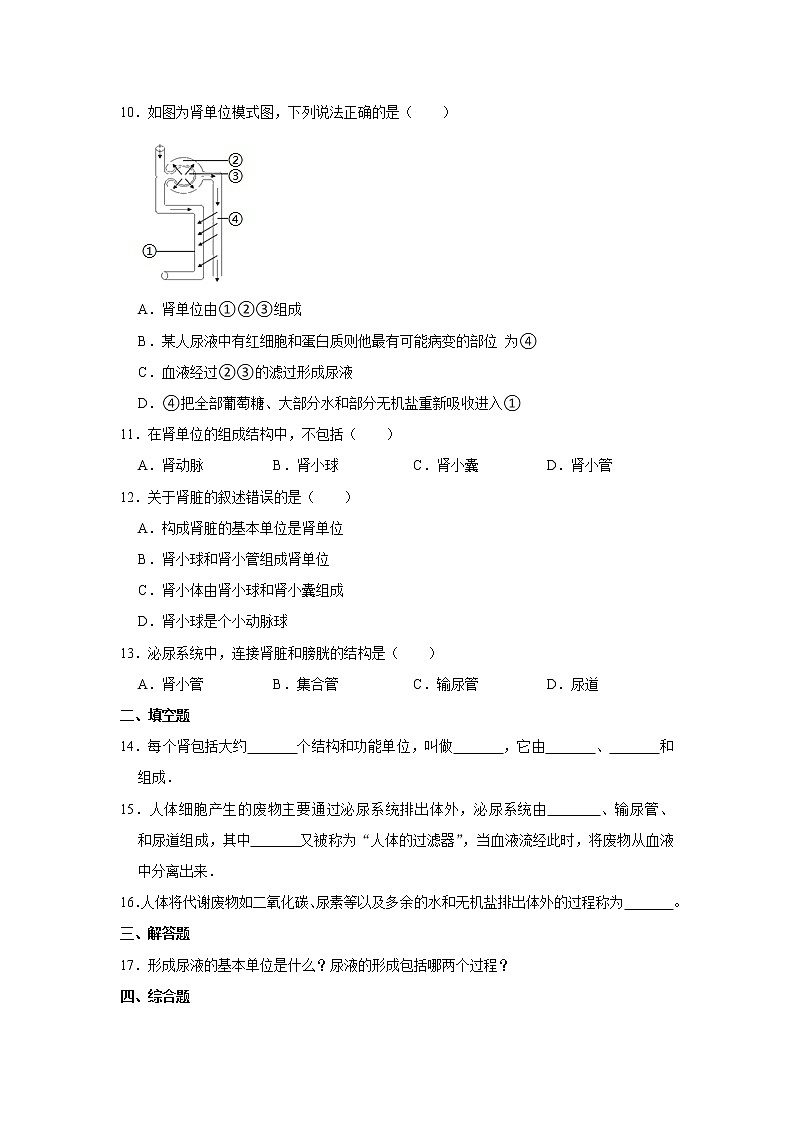 4.11.1+人体泌尿系统的组成训练卷2021--2022学年苏教版生物七年级下册02
