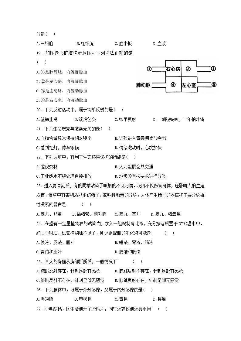 河南省商丘市梁园区2021-2022学年七年级下学期期末考试生物试卷第3页