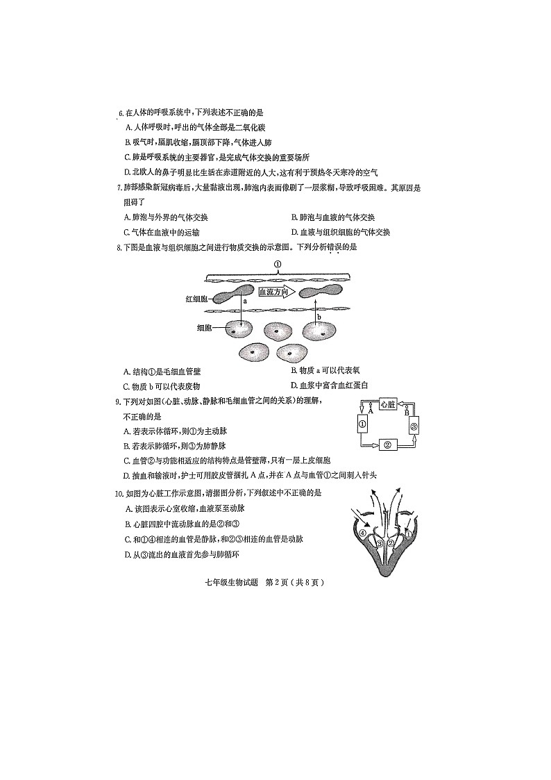 山东省聊城市冠县2021-2022学年七年级下学期期末学业水平检测试生物试题02