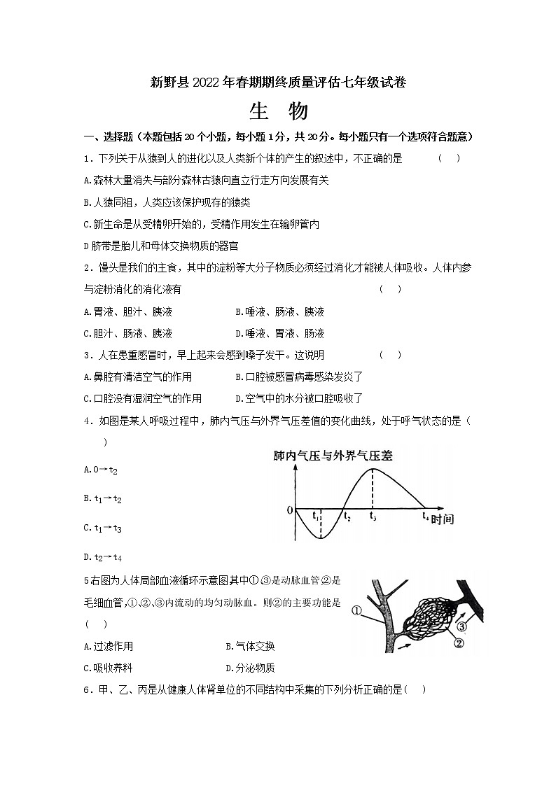 河南省新野县2021-2022学年七年级下学期期末生物试题 (word版含答案)01