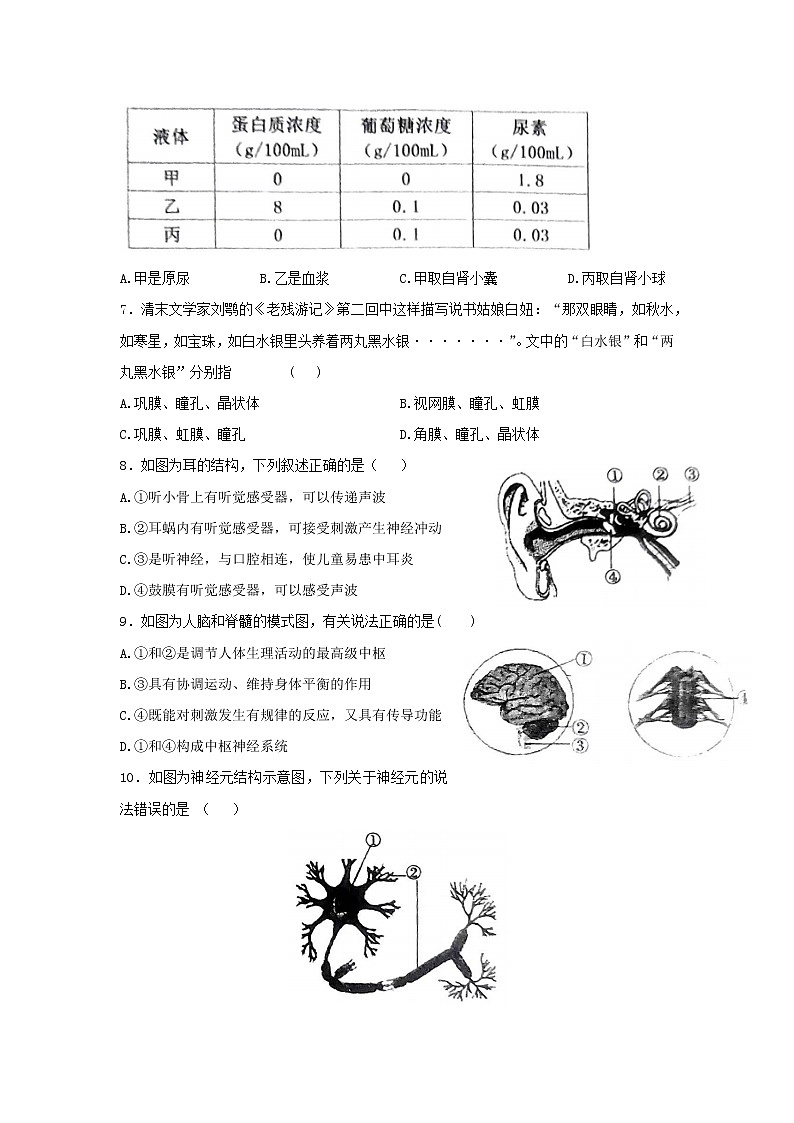 河南省新野县2021-2022学年七年级下学期期末生物试题 (word版含答案)02