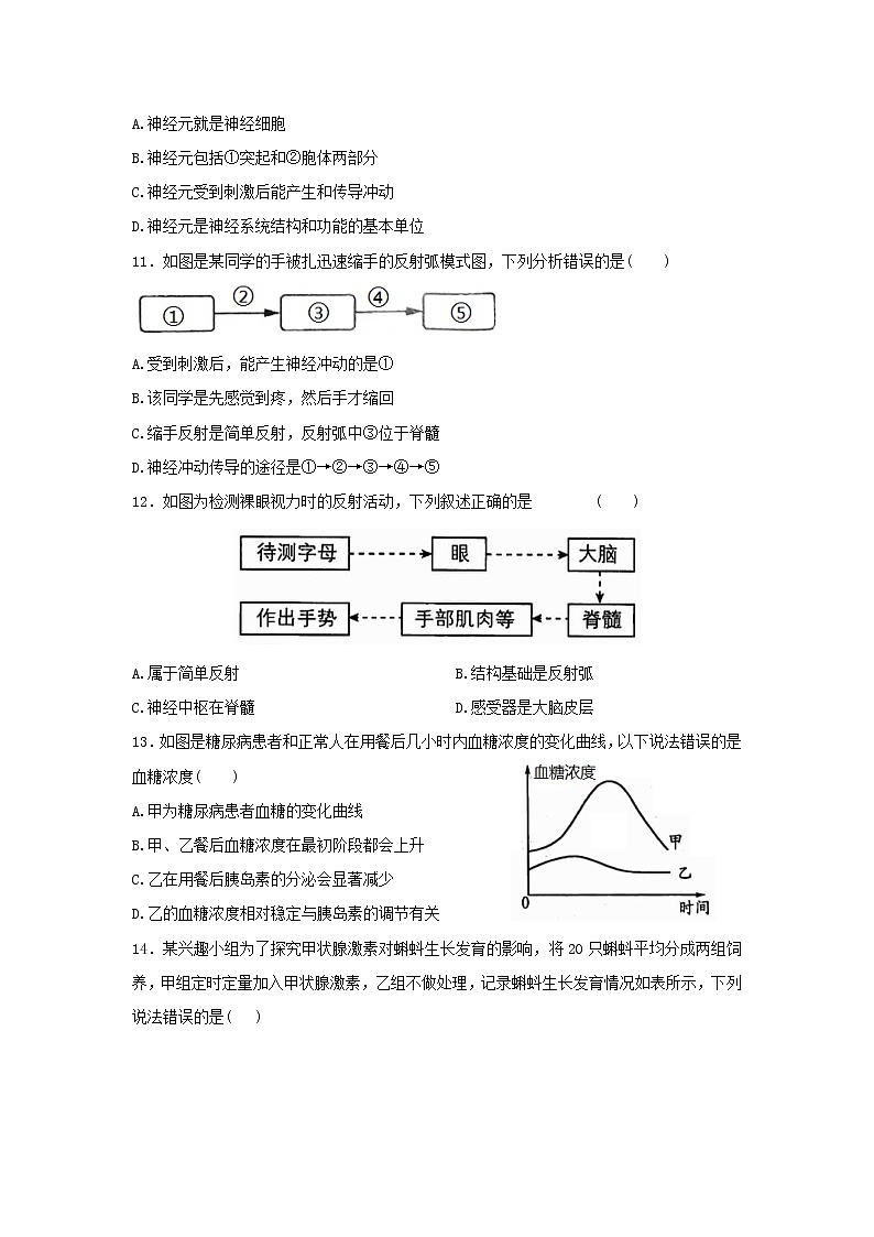 河南省新野县2021-2022学年七年级下学期期末生物试题 (word版含答案)03