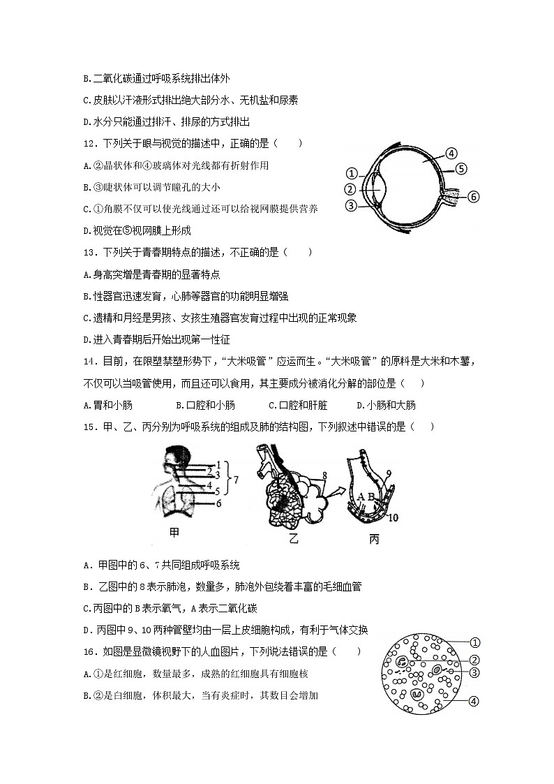 山东省青岛市李沧区2021-2022学年七年级下学期期末考试生物试题 (word版含答案)第3页