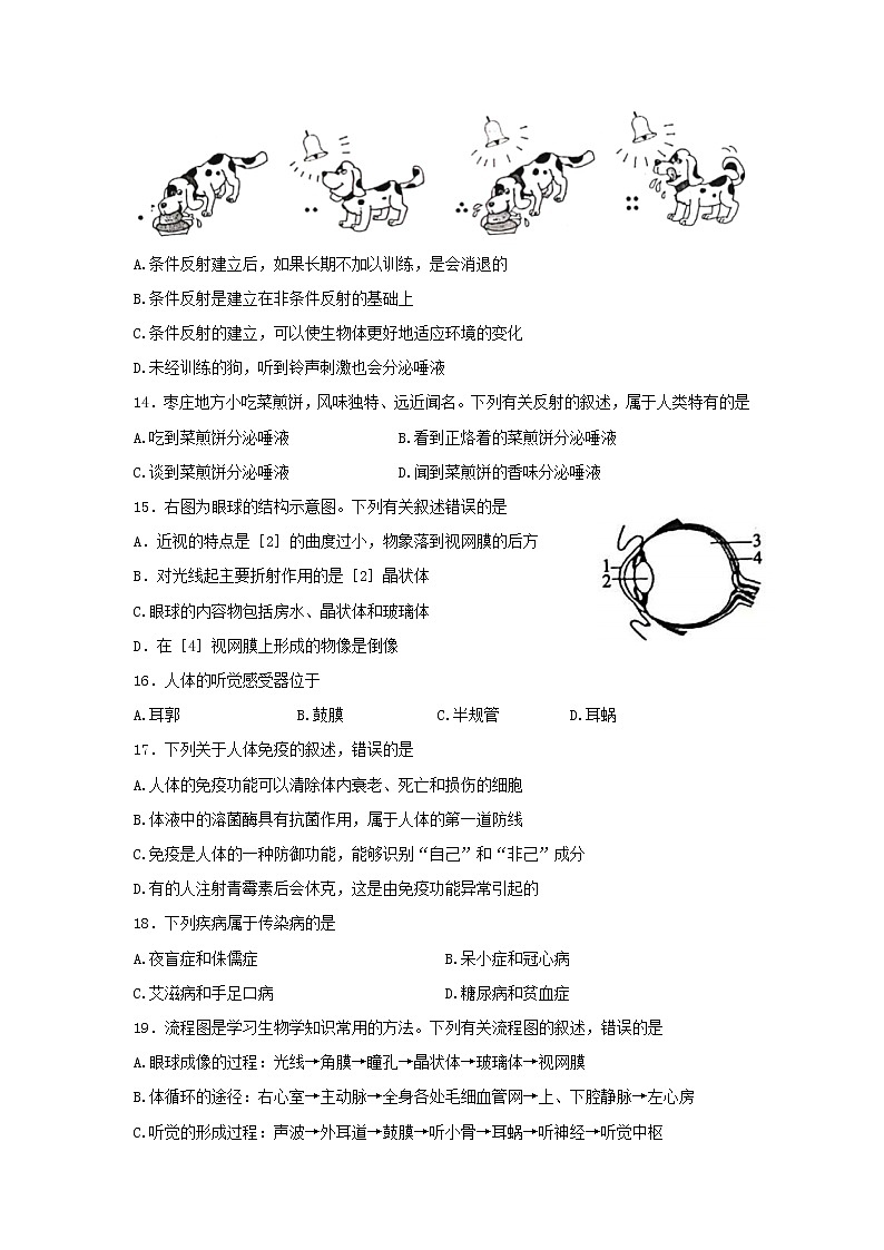 山东省枣庄市2021-2022学年七年级下学期初中学业质量检测生物试题  (word版含答案)03