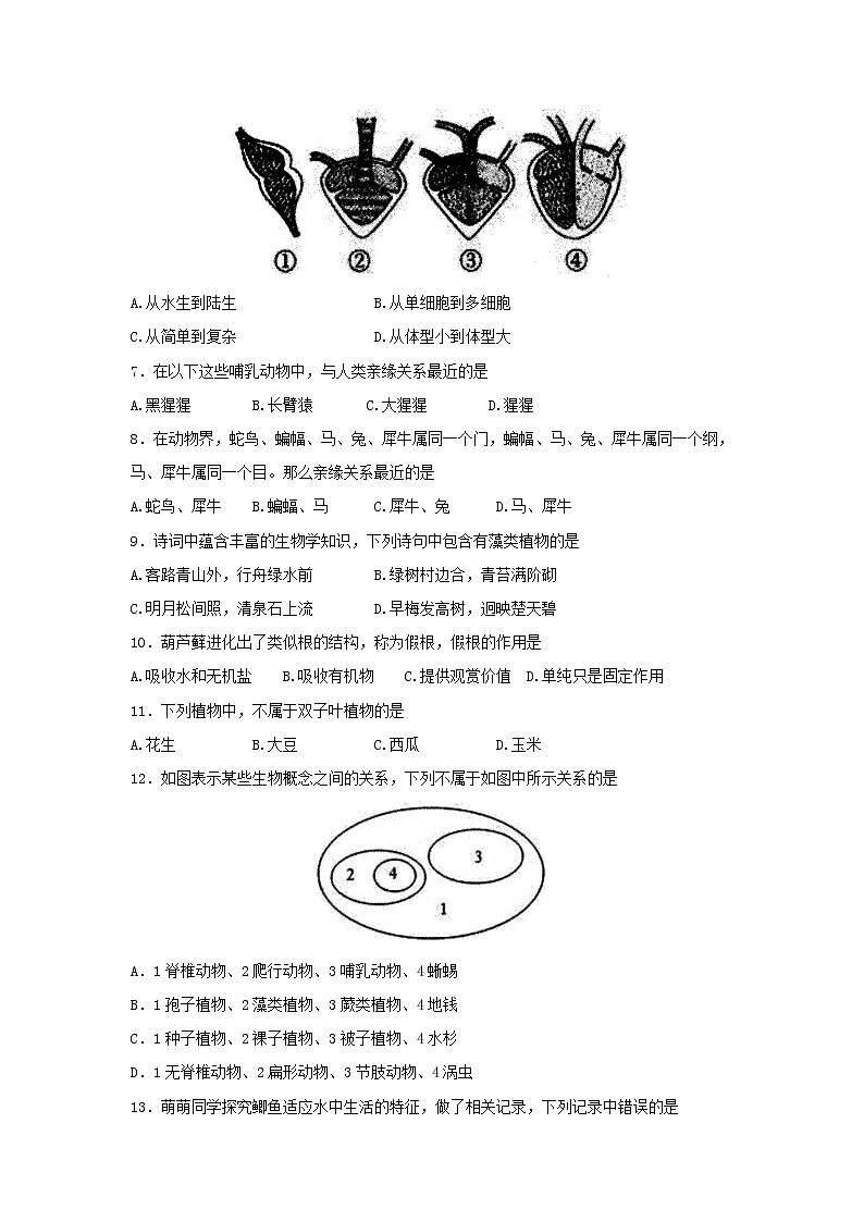 广东省普宁市2021-2022学年八年级下学期质量监测生物试题卷 (word版含答案)02