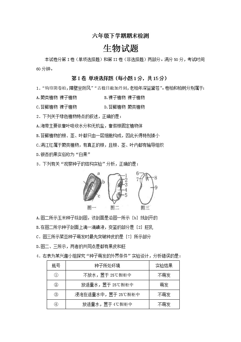 山东省泰安市新泰市（五四制）2021-2022学年六年级下学期期末考试生物试题 (word版含答案)第1页