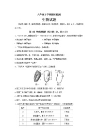 山东省泰安市新泰市（五四制）2021-2022学年六年级下学期期末考试生物试题 (word版含答案)