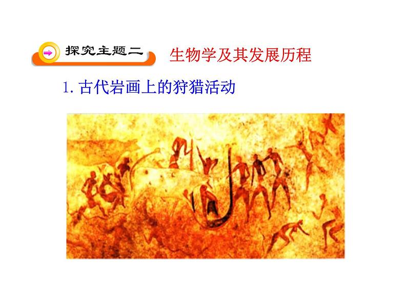 北师大版七年级上册生物  2.1 生物学是探索生命的科学 课件第5页