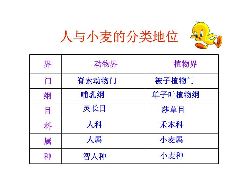 北师大版七年级上册生物  2.1 生物学是探索生命的科学 课件第8页