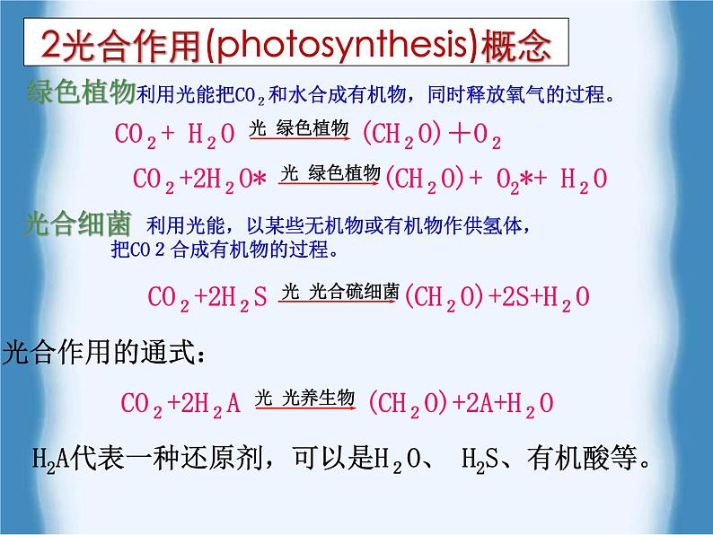 北师大版七年级上册生物  5.1 光合作用 课件03