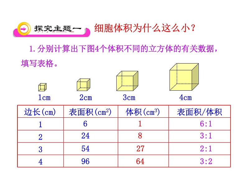 北师大版七年级上册生物  3.3 细胞通过分裂而增殖 课件04