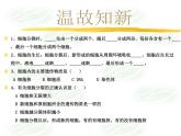 北师大版七年级上册生物  4.1 细胞分化形成组织 课件