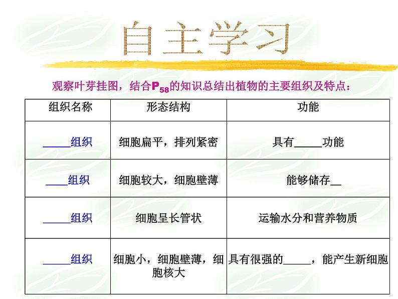 北师大版七年级上册生物  4.1 细胞分化形成组织 课件第6页