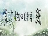 北師大版七年級(jí)上冊(cè)生物  4.2 生物體的器官、系統(tǒng) 課件