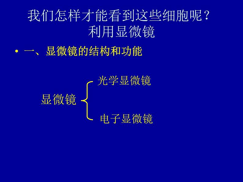 北师大版七年级上册生物  3.1 细胞的基本结构和功能 课件第4页