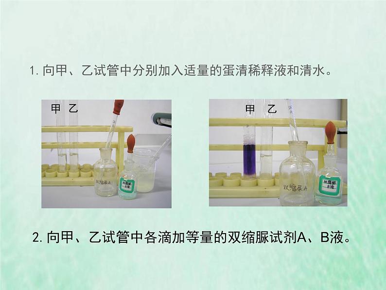 北师大版七年级生物下册第4单元生物圈中的人第8章人体的营养第1节人类的食物课件05