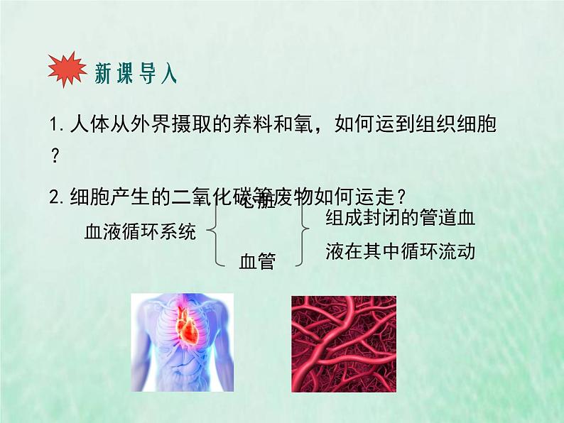 北师大版七年级生物下册第4单元生物圈中的人第9章人体内的物质运输第1节血液课件02