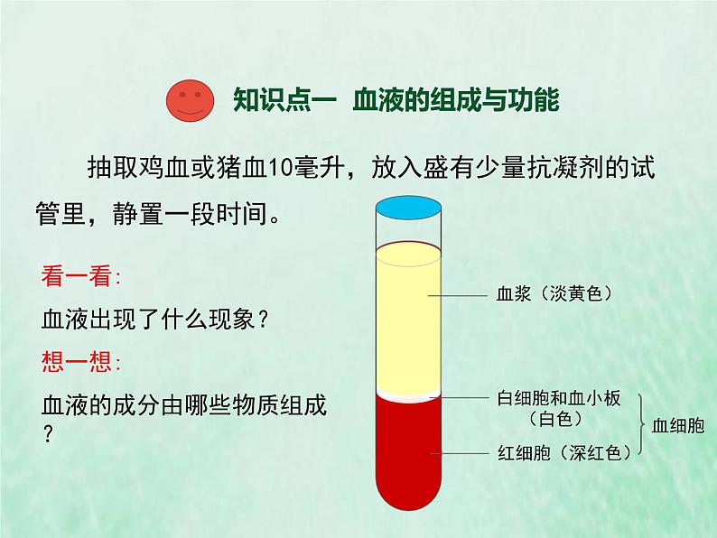 北师大版七年级生物下册第4单元生物圈中的人第9章人体内的物质运输第1节血液课件03