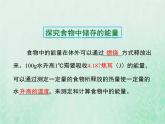 北师大版七年级生物下册第4单元生物圈中的人第10章人体的能量供应第1节食物中能量的释放课件
