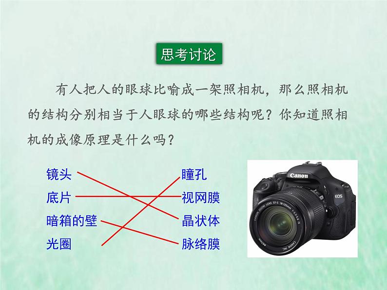 北师大版七年级生物下册第4单元生物圈中的人第12章人体的自我调节第2节感受器和感觉器官第1课时视觉和视觉器官课件第5页