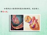 北师大版七年级生物下册第4单元生物圈中的人第13章健康地生活第4节当代主要疾病和预防课件