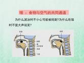 北师大版七年级生物下册第4单元生物圈中的人第10章人体的能量供应第2节人体细胞获得氧气的过程1课件