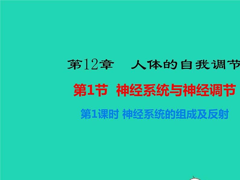 北师大版七年级生物下册第4单元生物圈中的人第12章人体的自我调节第1节神经系统与神经调节第1课时神经系统的组成及反射1课件01