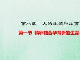 苏教版七年级生物下册第4单元生物圈中的人第8章人的生殖和发育第1节精卵结合孕育新的生命1课件