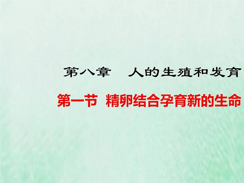 苏教版七年级生物下册第4单元生物圈中的人第8章人的生殖和发育第1节精卵结合孕育新的生命1课件01