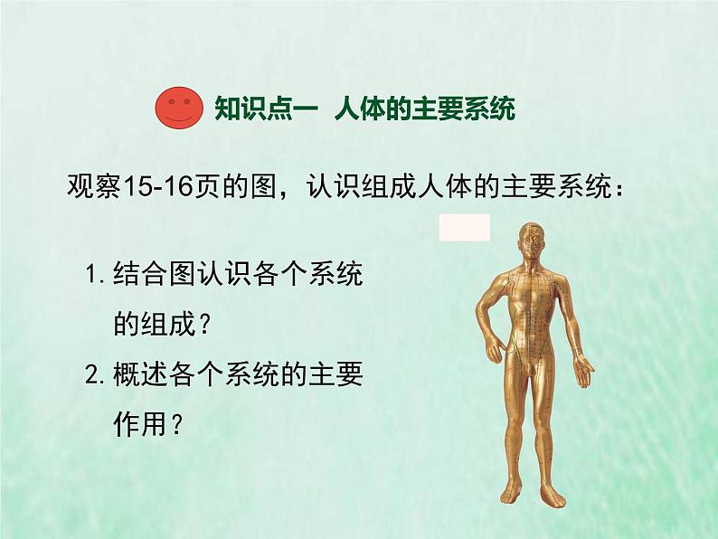 苏教版七年级生物下册第4单元生物圈中的人第8章人的生殖和发育第3节人体概述1课件03