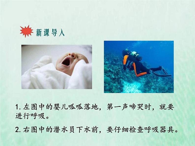 苏教版七年级生物下册第4单元生物圈中的人第10章人体内的物质运输和能量供给第3节人体和外界环境的气体交换1课件02