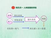 苏教版七年级生物下册第4单元生物圈中的人第10章人体内的物质运输和能量供给第5节人体能量的供给1课件