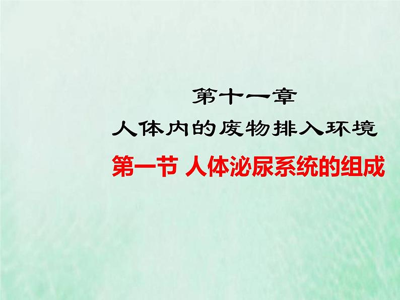 苏教版七年级生物下册第4单元生物圈中的人第11章人体内的废物排入环境第1节人体泌尿系统的组成1课件01