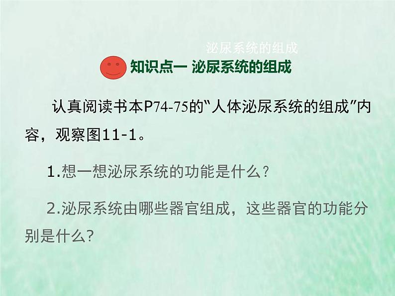 苏教版七年级生物下册第4单元生物圈中的人第11章人体内的废物排入环境第1节人体泌尿系统的组成1课件03