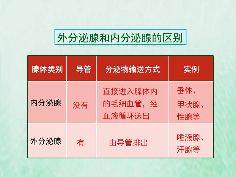 苏教版七年级生物下册第4单元生物圈中的人第12章人体生命活动的调节第1节人体的激素调节1课件04