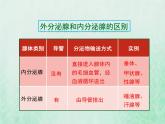 苏教版七年级生物下册第4单元生物圈中的人第12章人体生命活动的调节第1节人体的激素调节1课件