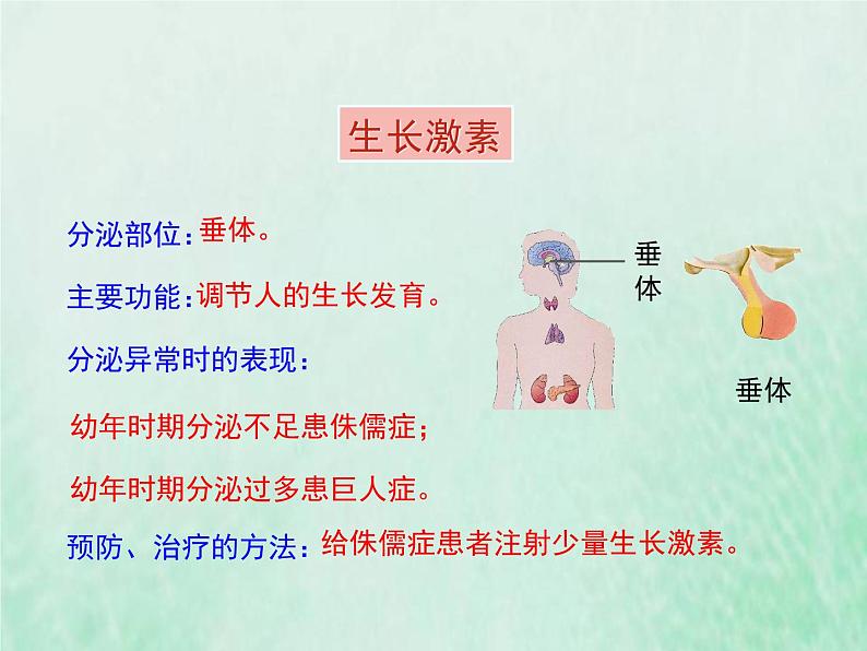 苏教版七年级生物下册第4单元生物圈中的人第12章人体生命活动的调节第1节人体的激素调节1课件07