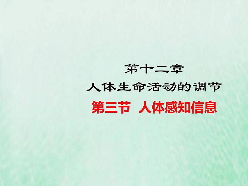 苏教版七年级生物下册第4单元生物圈中的人第12章人体生命活动的调节第3节人体感知信息1课件01