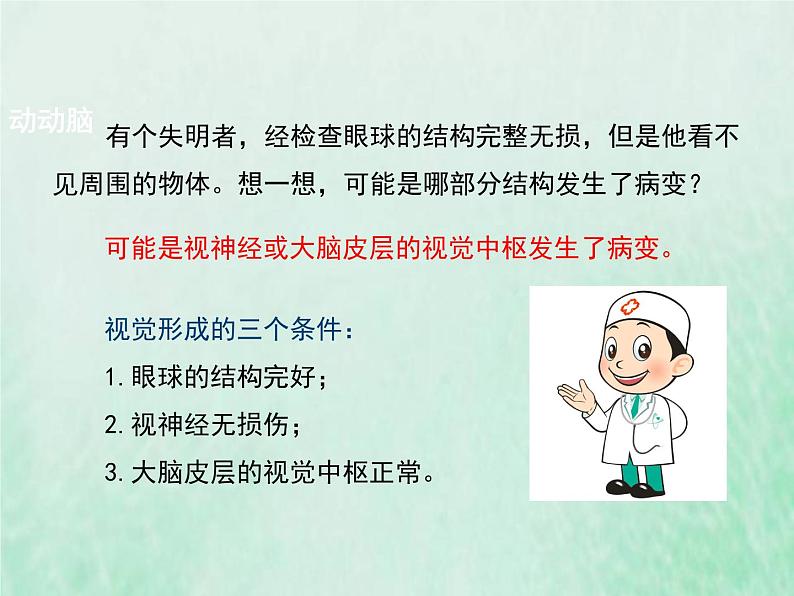 苏教版七年级生物下册第4单元生物圈中的人第12章人体生命活动的调节第3节人体感知信息1课件07