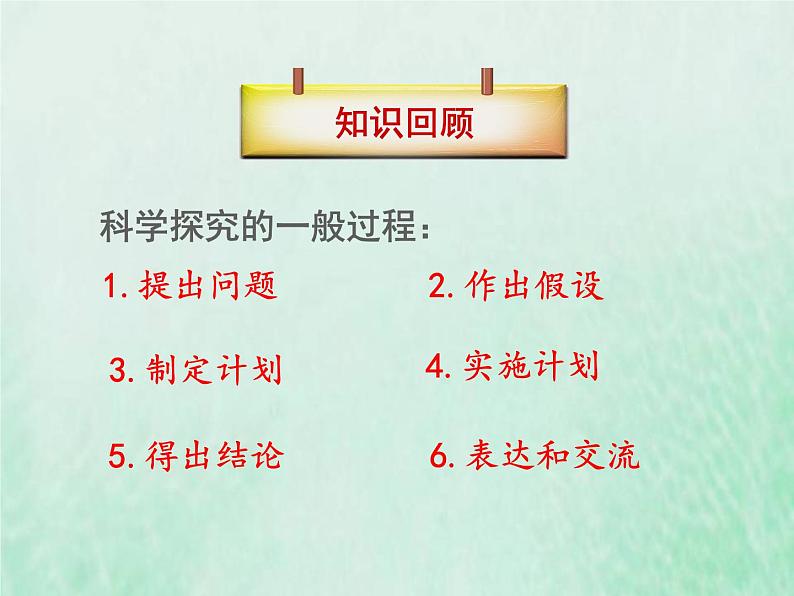 人教版八年级生物下册第7单元生物圈中生命的延续和发展第2章生物的遗传与变异第5节生物的变异课件第8页