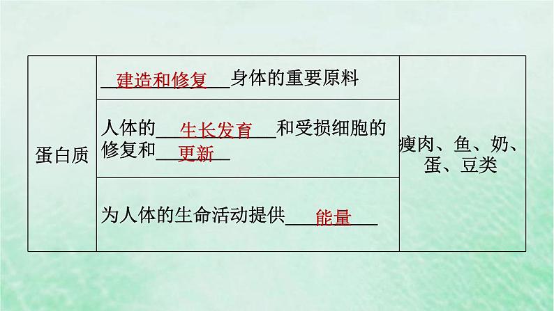 人教版七年级生物下册期末复习冲刺第2章人体的营养课件03