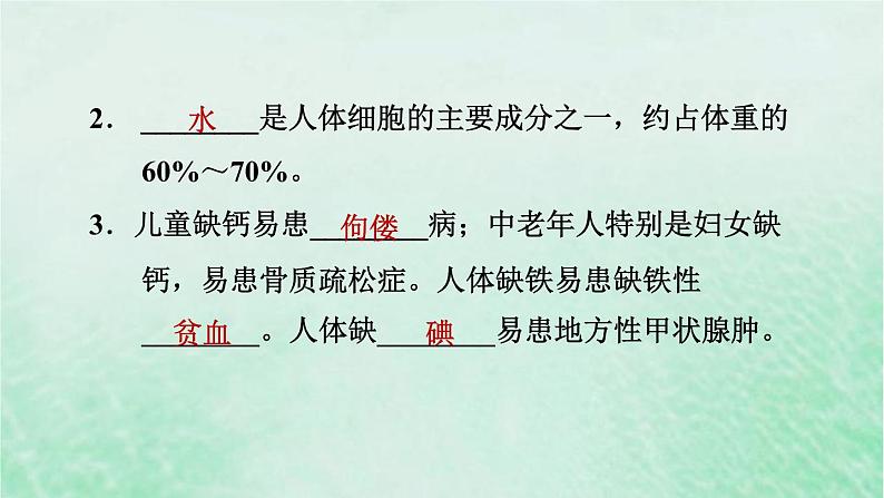 人教版七年级生物下册期末复习冲刺第2章人体的营养课件04