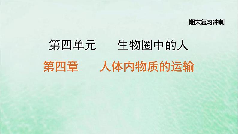 人教版七年级生物下册期末复习冲刺第4章人体内物质的运输课件01