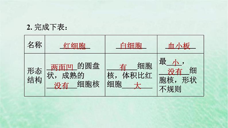 人教版七年级生物下册期末复习冲刺第4章人体内物质的运输课件03