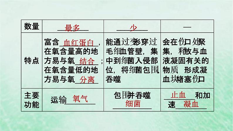 人教版七年级生物下册期末复习冲刺第4章人体内物质的运输课件04