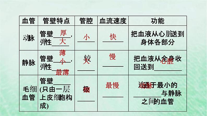 人教版七年级生物下册期末复习冲刺第4章人体内物质的运输课件06